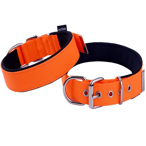 Actirex 2.5x37-45 Cm Neon Boyun Tasması Turuncu S | Köpek Boyun Tasması