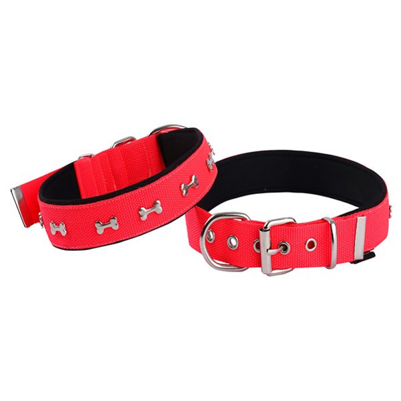 Actirex 3x42-50 Cm Neon Kemik Desenli Boyun Tasması Pembe M | Köpek Boyun Tasması Actirex 3x42-50 Cm Neon Kemik Desenli Boyun Tasması Pembe M | Köpek Boyun Tasması