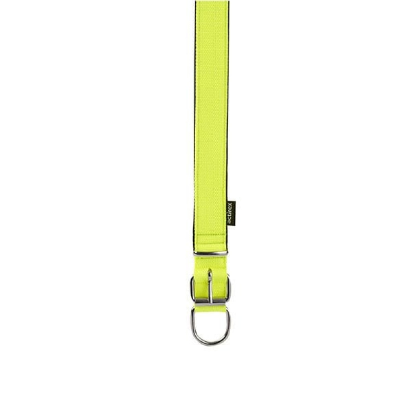 Actirex 3x42-50 Cm Neon Tasması Sarı M | Köpek Boyun Tasması