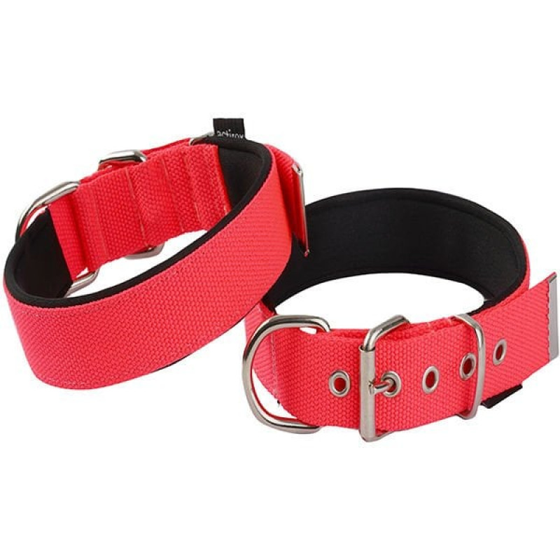 Actirex 3x47-55 Cm Neon Boyun Tasması Kırmızı L | Köpek Boyun Tasması Actirex 3x47-55 Cm Neon Boyun Tasması Kırmızı L | Köpek Boyun Tasması