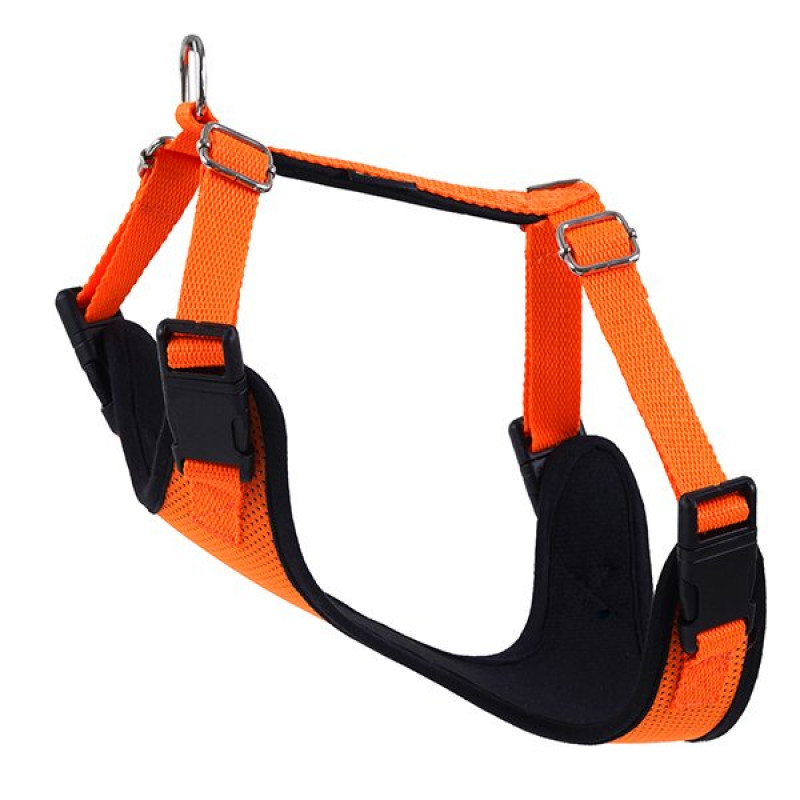 Actirex 40x45 Cm Neon Cool Göğüs Tasması Turuncu S | Köpek Göğüs Tasması Actirex 40x45 Cm Neon Cool Göğüs Tasması Turuncu S | Köpek Göğüs Tasması