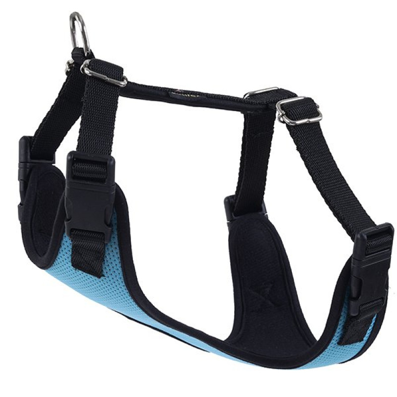 Actirex 60x85 Cm Neon Cool Göğüs Tasması Mavi XL | Köpek Göğüs Tasması Actirex 60x85 Cm Neon Cool Göğüs Tasması Mavi XL | Köpek Göğüs Tasması