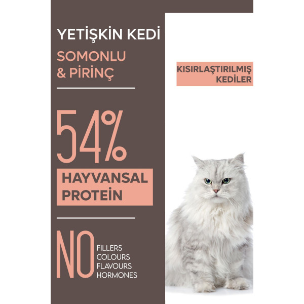 Animal World Sterilised Somonlu Kısırlaştırılmış 1.5 Kg Kedi Maması 