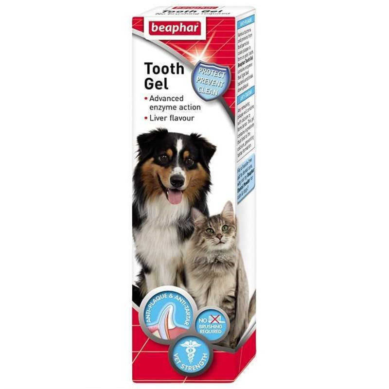 Beaphar 100 Gr Tooth Gel | Köpek Ağız Ve Diş Bakım Ürünü Beaphar 100 Gr Tooth Gel | Köpek Ağız Ve Diş Bakım Ürünü