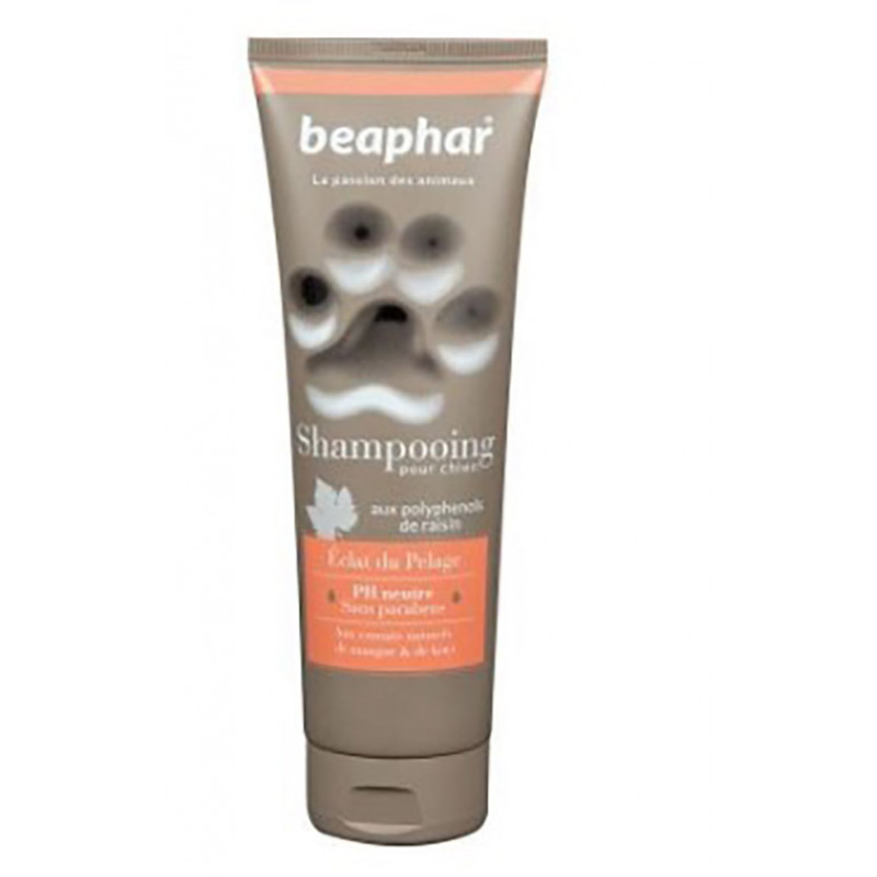 Beaphar 250 Ml Premium Şampuan Shiny Coat | Köpek Şampuanı Beaphar 250 Ml Premium Şampuan Shiny Coat | Köpek Şampuanı