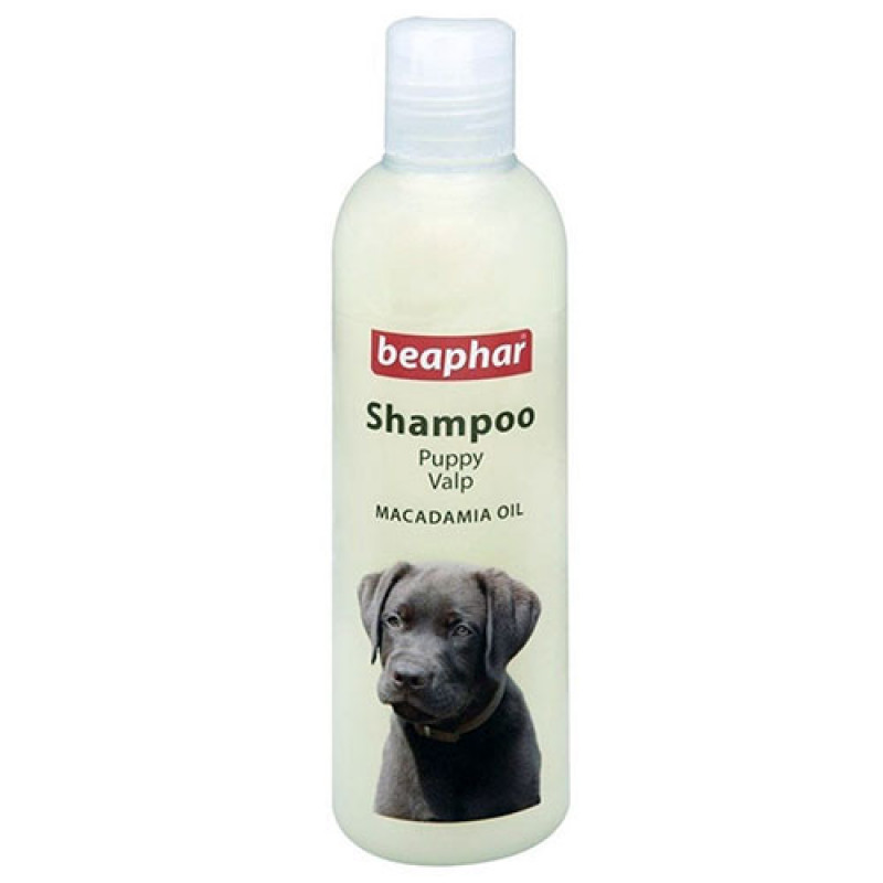 Beaphar 250 mL Şampuan Macadamia Oil for Puppy | Köpek Şampuanı Beaphar 250 mL Şampuan Macadamia Oil for Puppy | Köpek Şampuanı