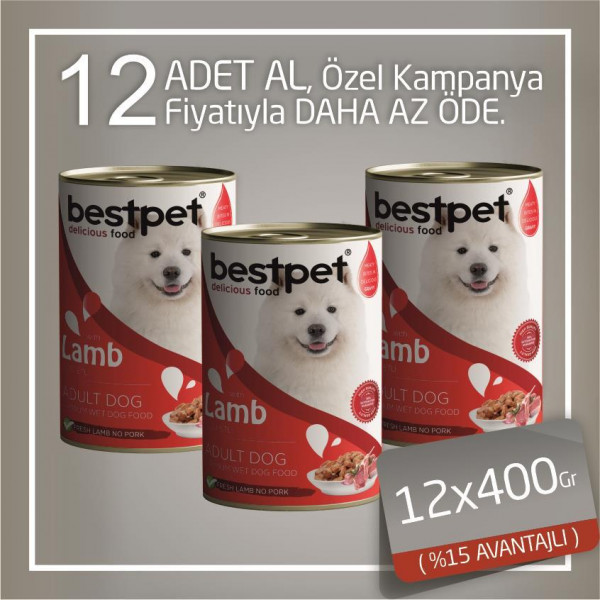 Bestpet 12x400 Gr Kuzulu Gravy Yetişkin | Yetişkin Köpek Konserve Maması