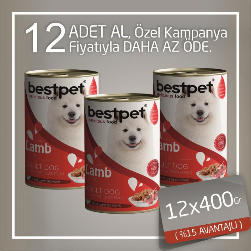 Bestpet 12x400 Gr Kuzulu Gravy Yetişkin | Yetişkin Köpek Konserve Maması Bestpet 12x400 Gr Kuzulu Gravy Yetişkin | Yetişkin Köpek Konserve Maması