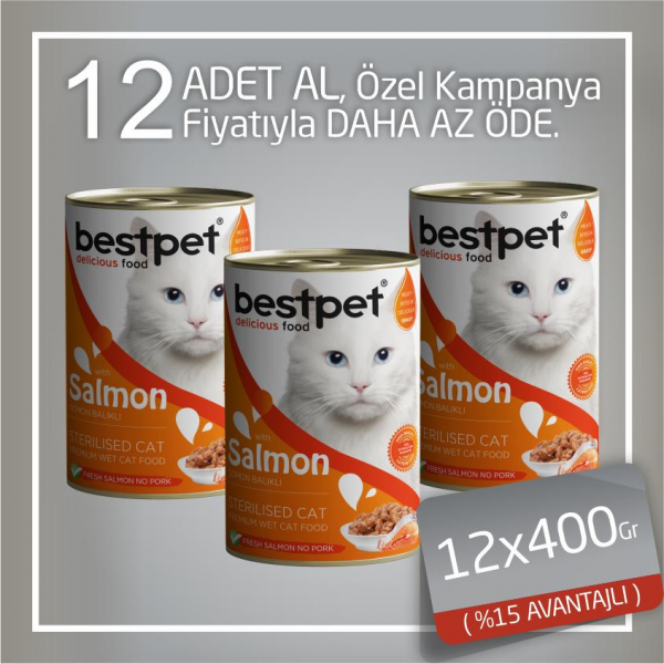 Bestpet 12x400 Gr Somonlu Kısırlaştırılmış | Balıklı Yaş Kedi Maması