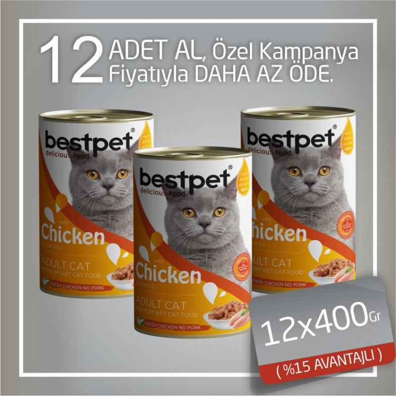 Bestpet 12x400 Gr Tavuklu Jöleli Yetişkin Kedi | Yetişkin Kedi Maması Bestpet 12x400 Gr Tavuklu Jöleli Yetişkin Kedi | Yetişkin Kedi Maması