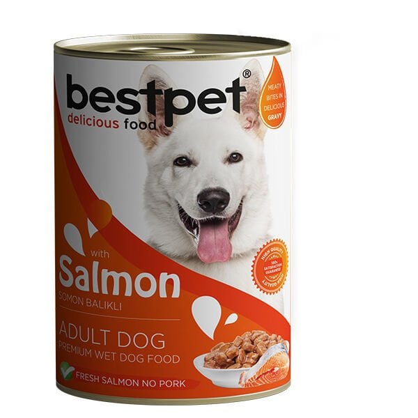 Bestpet 400 Gr Somonlu Jöleli Yetişkin | Yetişkin Köpek Konserve Maması