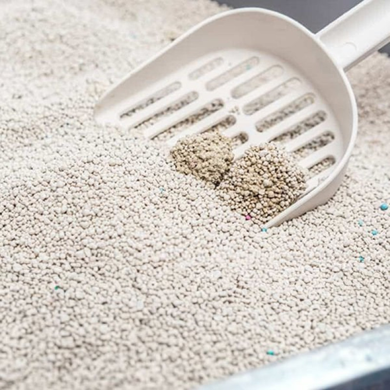 Biokats 6 Lt Micro Fresh Bahar Kokulu | Doğal Kedi Kumu