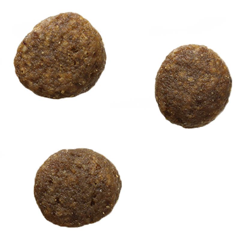 Bozita 370 Gr Chunks In Jelly Ren Geyiği Etli | Yetişkin Köpek Konserve Maması