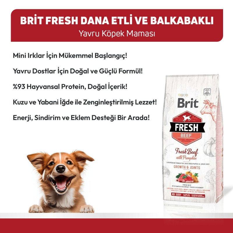 Brit Fresh 12 Kg Sığır Etli ve Balkabaklı Yavru | Yavru Köpek Kuru Maması