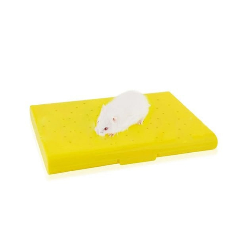 Carno 14x10x1 Cm Soğutucu Buz Torbalı Hamster Yatağı | Hamster Diğer Ürünler Carno 14x10x1 Cm Soğutucu Buz Torbalı Hamster Yatağı | Hamster Diğer Ürünler