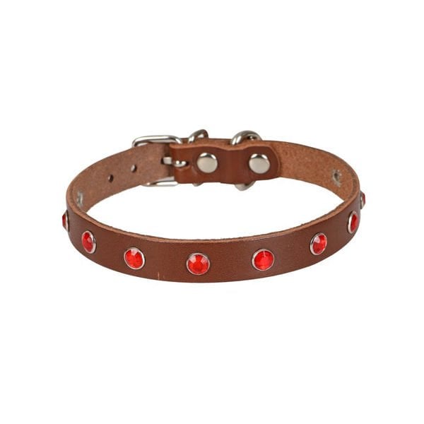 Cattie L Gerçek Deri Taşlı Boyun Tasması Kahverengi 1.2x23-28 Cm | Kedi Boyun Tasması