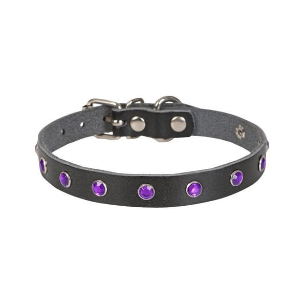 Cattie L Gerçek Deri Taşlı Boyun Tasması Siyah 1.2x23-28 Cm | Kedi Boyun Tasması