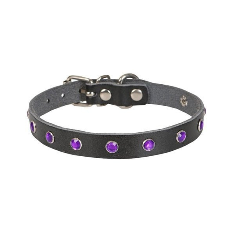 Cattie L Gerçek Deri Taşlı Boyun Tasması Siyah 1.2x23-28 Cm | Kedi Boyun Tasması Cattie L Gerçek Deri Taşlı Boyun Tasması Siyah 1.2x23-28 Cm | Kedi Boyun Tasması