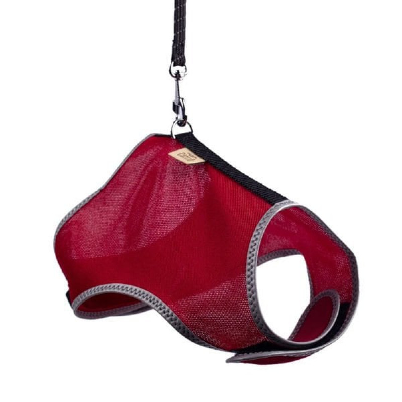 Cattie L Havalı Dokuma Göğüs ve Gezdirme Takımı Kırmızı 1.5x30-40 Cm | Kedi Gezdirme Tasması