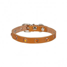 M Gerçek Deriden Taşlı Boyun Tasması Camel 1x20-23 Cm | Kedi Boyun Tasması M Gerçek Deriden Taşlı Boyun Tasması Camel 1x20-23 Cm | Kedi Boyun Tasması