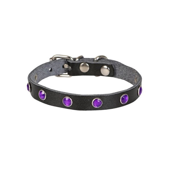 Cattie M Gerçek Deriden Taşlı Boyun Tasması Siyah 1x20-23 Cm | Kedi Boyun Tasması