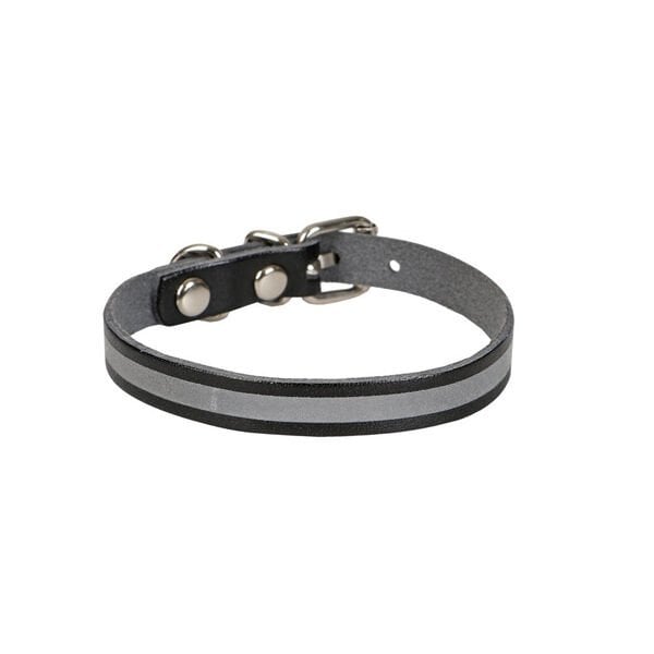 Cattie M Reflektörlü Deri Boyun Tasması Siyah 1x20-23 Cm | Kedi Boyun Tasması