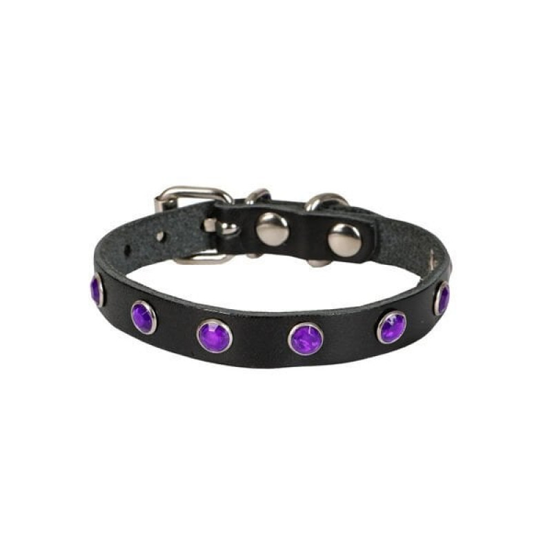 Cattie S Gercek Deri Taşlı Boyun Tasması Siyah 1x16-20 Cm | Kedi Boyun Tasması