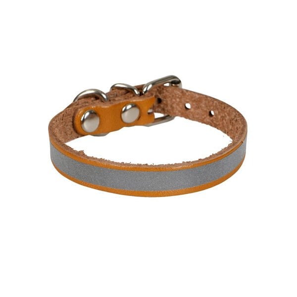Cattie S Reflektörlü Deri Boyun Tasması Camel 1x16-20 Cm | Kedi Boyun Tasması