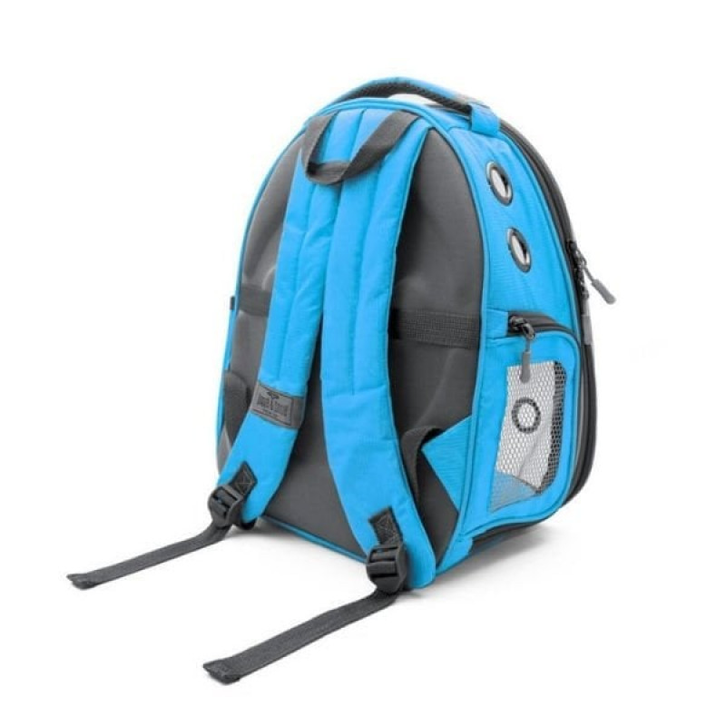 Cattie Şeffaf Kedi ve Küçük Irk Köpek Taşıma Sırt Çantası Mavi 25x30x40 Cm | Köpek Taşıma Çantası Ve Kafes