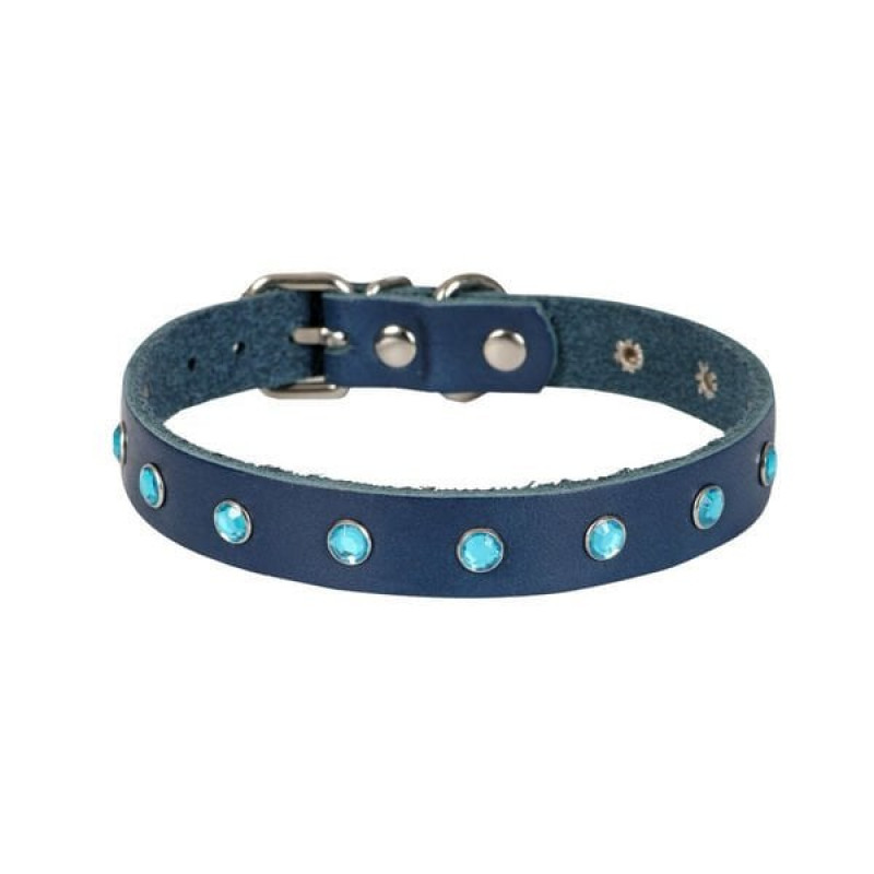 Cattie XL Gerçek Deri Taşlı Boyun Tasması Royal Mavi 1.5x26-31 Cm | Kedi Boyun Tasması Cattie XL Gerçek Deri Taşlı Boyun Tasması Royal Mavi 1.5x26-31 Cm | Kedi Boyun Tasması
