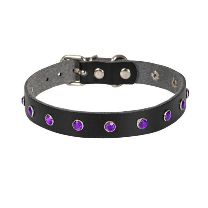 Cattie XL Gerçek Deri Taşlı Boyun Tasması Siyah 1.5x26-31 Cm | Kedi Boyun Tasması Cattie XL Gerçek Deri Taşlı Boyun Tasması Siyah 1.5x26-31 Cm | Kedi Boyun Tasması