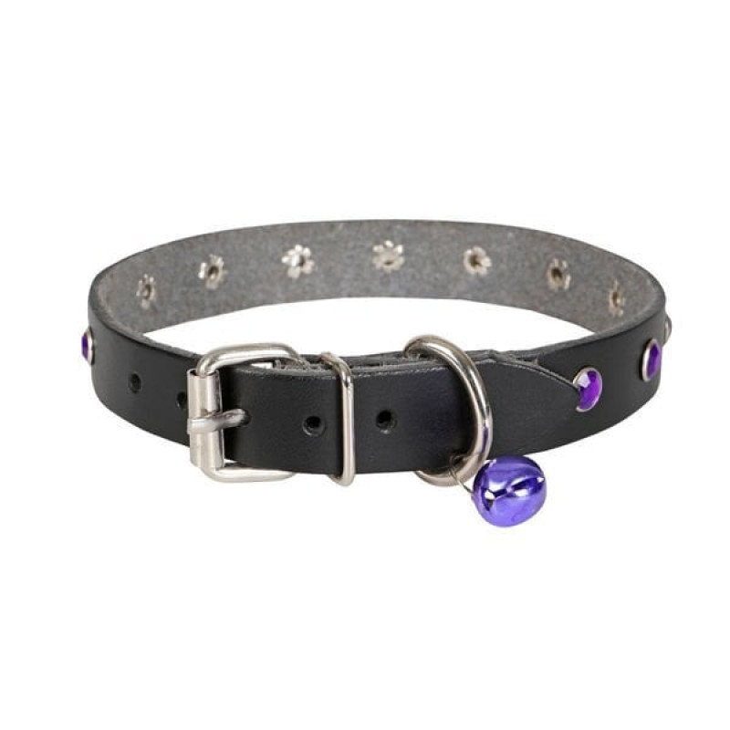 Cattie XL Gerçek Deri Taşlı Boyun Tasması Siyah 1.5x26-31 Cm | Kedi Boyun Tasması