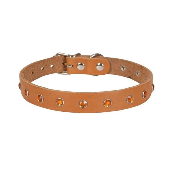 Cattie XXL Gercek Deri Taşlı Boyun Tasması Camel 1.5x27-33 Cm | Kedi Boyun Tasması