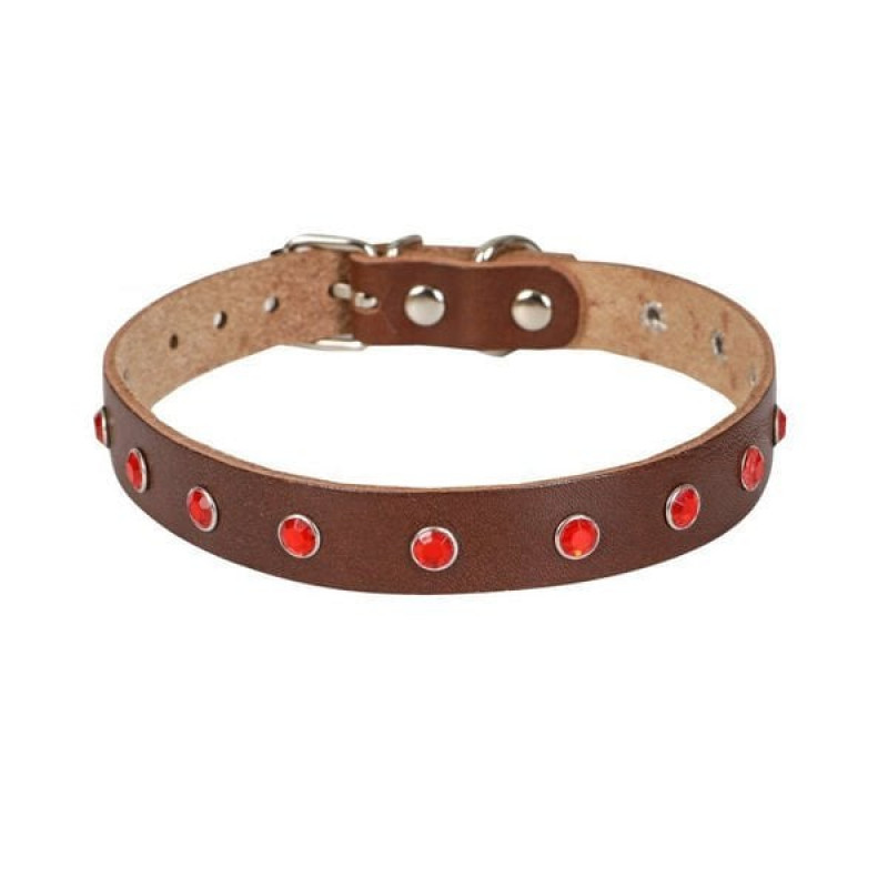 Cattie XXL Gerçek Deri Taşlı Boyun Tasması Kahverengi 1.5x27-33 Cm | Kedi Boyun Tasması Cattie XXL Gerçek Deri Taşlı Boyun Tasması Kahverengi 1.5x27-33 Cm | Kedi Boyun Tasması