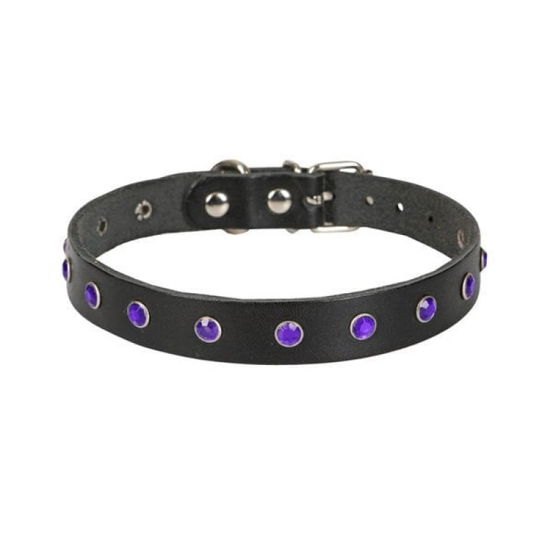 Cattie XXL Gerçek Deri Taşlı Boyun Tasması Siyah 1.5x27-33 Cm | Kedi Boyun Tasması Cattie XXL Gerçek Deri Taşlı Boyun Tasması Siyah 1.5x27-33 Cm | Kedi Boyun Tasması