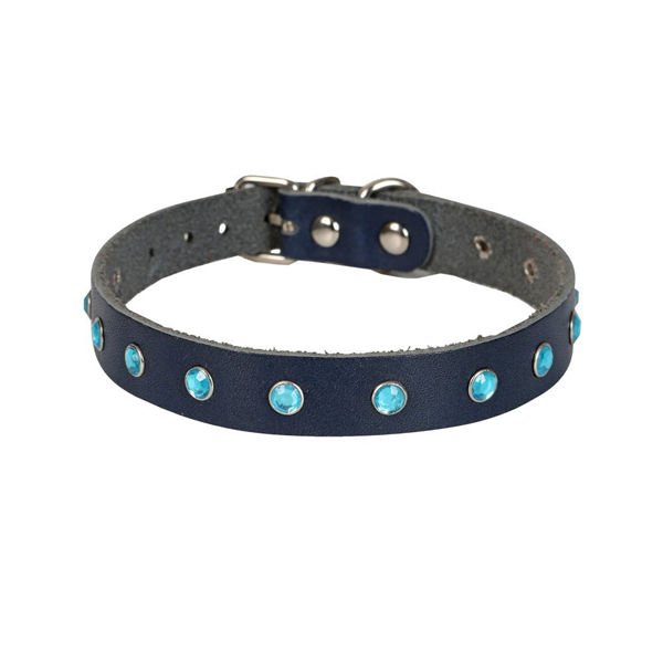 Cattie XXL Gerçek Deriden Taşlı Boyun Tasması  Royal Mavi 1.5x27-33 Cm | Kedi Boyun Tasması