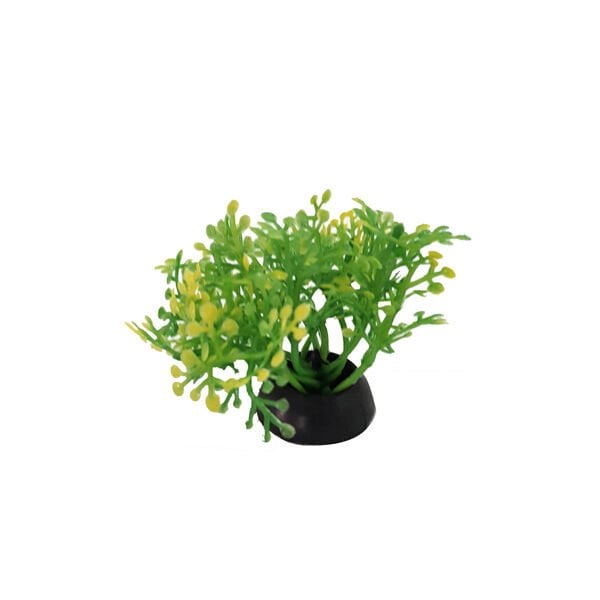 Chicos 4,5 Cm Plastik Bitki Akvaryum Dekoru | Akvaryum Yapay Bitki