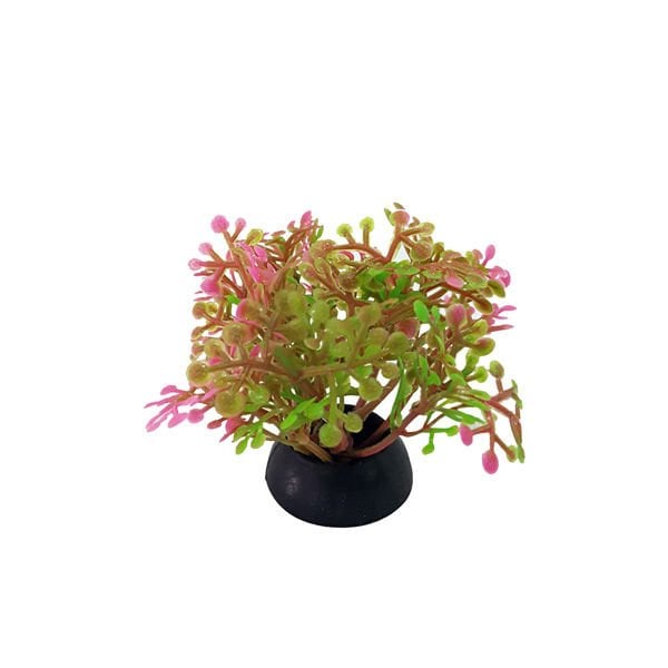 Chicos 5,5 Cm Plastik Bitki Akvaryum Dekoru | Akvaryum Yapay Bitki