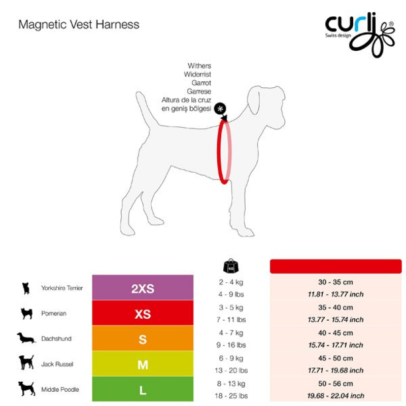 Curli 30-35 Cm Magnetic Vest Göğüs Tasması Air-Mesh Siyah 2XS | Köpek Göğüs Tasması