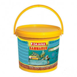 500 Gr Gammarus 5 Lt | Tatlı Su Akvaryumu Yemi