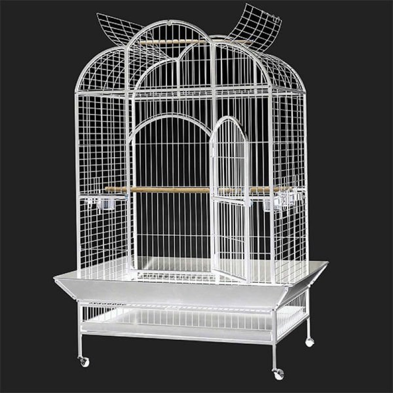 Dayang 132x102x186 Cm Tekerlekli Ayak Papağan Kafesi Beyaz | Kuş Kafesi Dayang 132x102x186 Cm Tekerlekli Ayak Papağan Kafesi Beyaz | Kuş Kafesi
