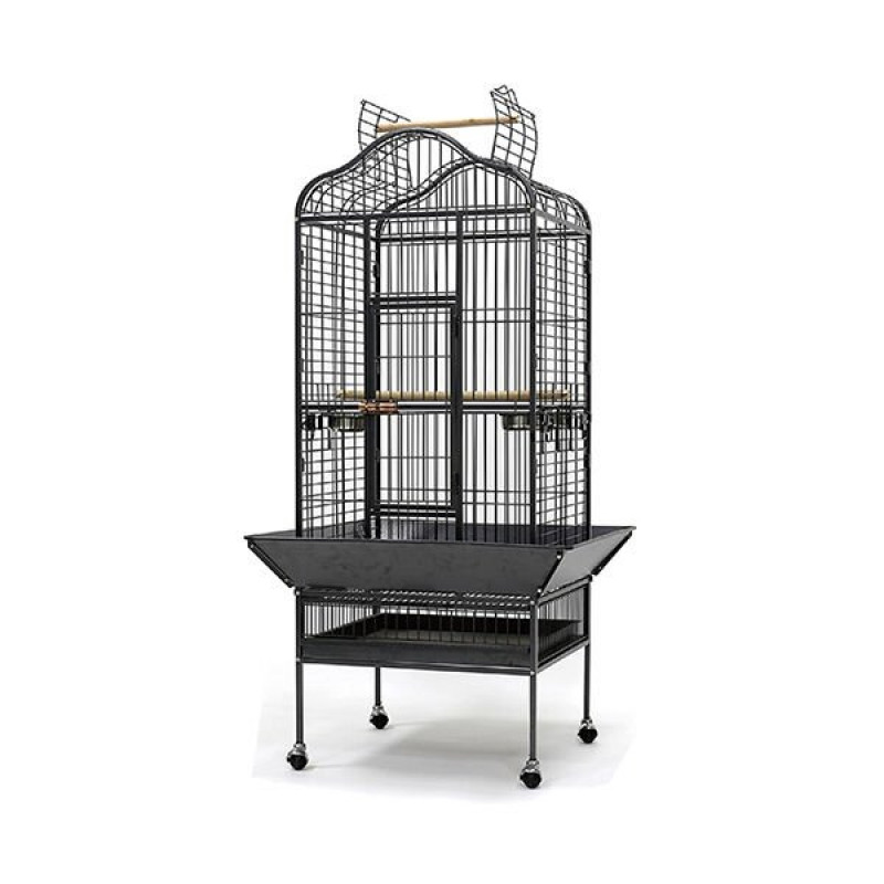 Dayang 61X56X156 Cm Şık ve Konforlu Ayaklı Papağan Eğitim Kafesi | Kuş Kafesi Dayang 61X56X156 Cm Şık ve Konforlu Ayaklı Papağan Eğitim Kafesi | Kuş Kafesi