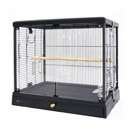 Dayang 62x42x55 Cm Üstten Açılır Cam Kafes Siyah | Kuş Kafesi Dayang 62x42x55 Cm Üstten Açılır Cam Kafes Siyah | Kuş Kafesi