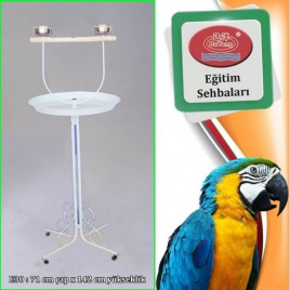 Dayang Papağan Eğitim Sehpası Beyaz 70x145 Cm Dayang Papağan Eğitim Sehpası Beyaz 70x145 Cm