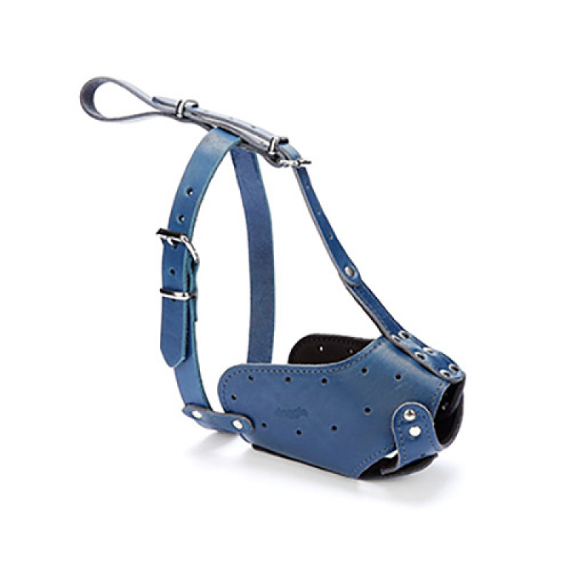 Doggie 1,5x45-45cm Uzun Burun Koruma Deri Ağızlık Royalblue | Köpek Ağızlığı Doggie 1,5x45-45cm Uzun Burun Koruma Deri Ağızlık Royalblue | Köpek Ağızlığı