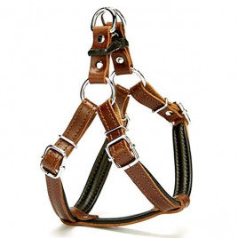 1,5x45 Cm Fırstclass Deri Ronın Göğüs Tasması Small Kahverengi | Köpek Göğüs Tasması 1,5x45 Cm Fırstclass Deri Ronın Göğüs Tasması Small Kahverengi | Köpek Göğüs Tasması