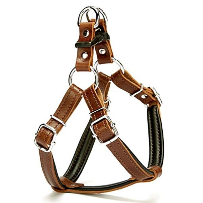 Doggie 1,5x45 Cm Fırstclass Deri Ronın Göğüs Tasması Small Kahverengi | Köpek Göğüs Tasması Doggie 1,5x45 Cm Fırstclass Deri Ronın Göğüs Tasması Small Kahverengi | Köpek Göğüs Tasması