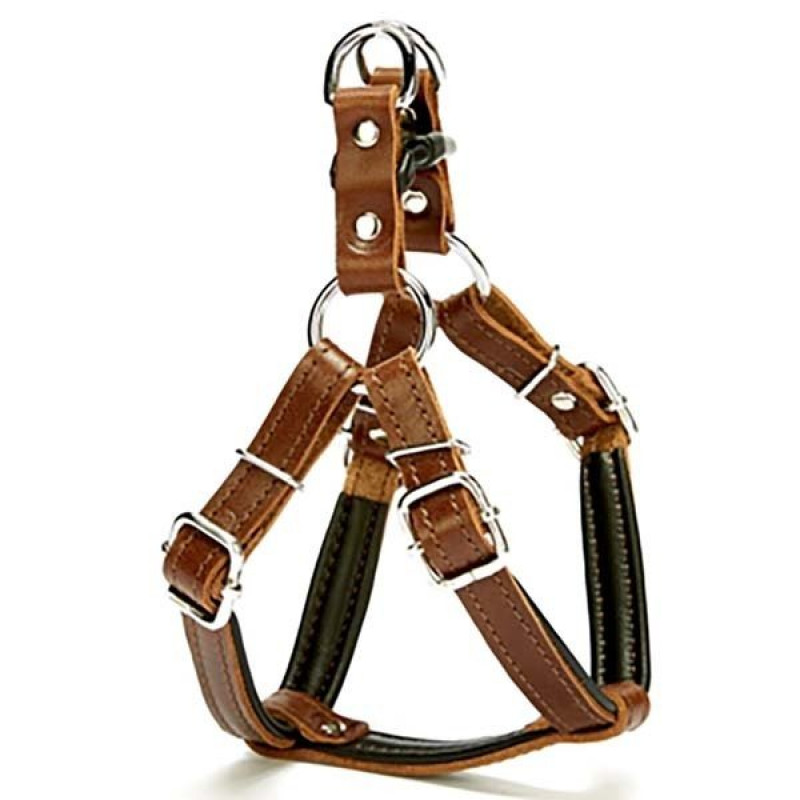 Doggie 1,5x45 Cm Fırstclass Deri Ronın Göğüs Tasması Xsmall Kahverengi | Köpek Göğüs Tasması Doggie 1,5x45 Cm Fırstclass Deri Ronın Göğüs Tasması Xsmall Kahverengi | Köpek Göğüs Tasması