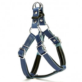 1,5x45 Cm Fırstclass Deri Ronın Göğüs Tasması Xsmall Mavi | Köpek Göğüs Tasması 1,5x45 Cm Fırstclass Deri Ronın Göğüs Tasması Xsmall Mavi | Köpek Göğüs Tasması