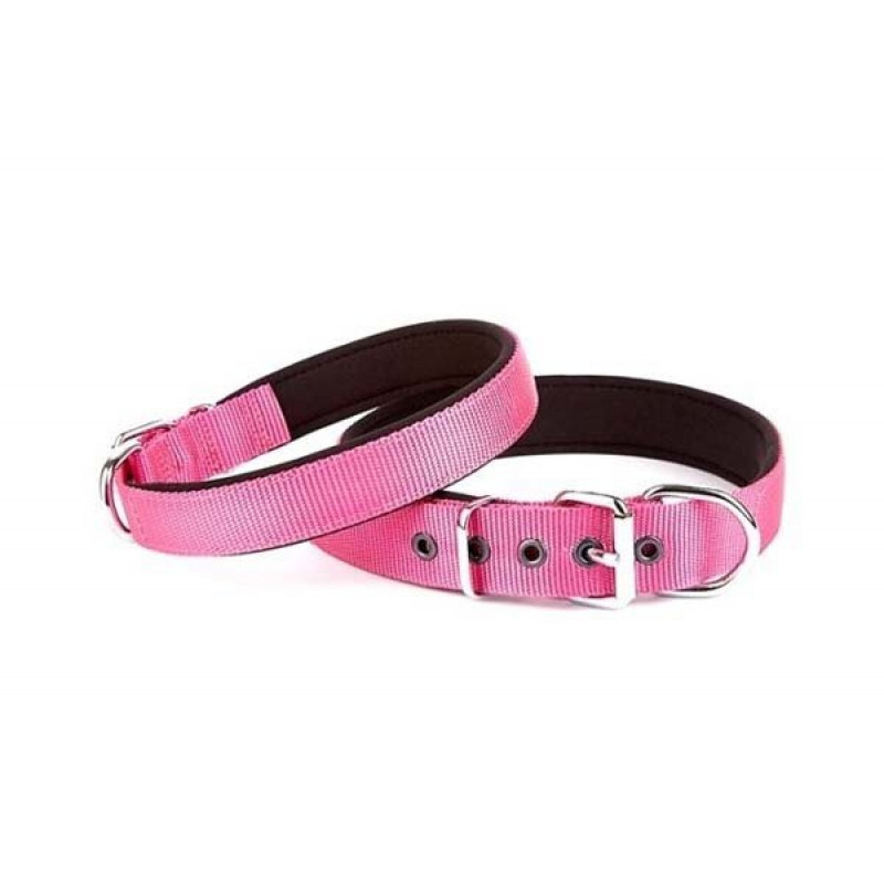 Doggie 2,5x37 45 Cm Konfor Dokuma Boyun Tasması Mor | Köpek Boyun Tasması